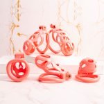 Pink Premium Car Paint 3D Printed Lightweight Chastity Cage Curved Ring Penis Cage Set - Image 2