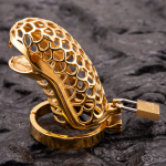 gold chastity cage