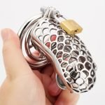 Stainless Steel Hollow Sliver Snake Chastity Device Metal Cock Cage - Image 11