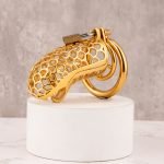 24k Gold Plated Snake Chastity Device Metal Cock Cage - Image 4