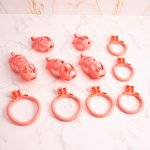 Pink Premium Car Paint 3D Printed Lightweight Chastity Cage Curved Ring Penis Cage Set - Image 4