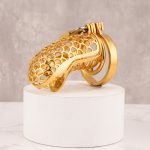 24k Gold Plated Snake Chastity Device Metal Cock Cage - Image 6