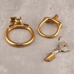 Open Stainless Steel Chastity Cage Training Ring - Image 5