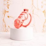Pink Premium Car Paint 3D Printed Lightweight Chastity Cage Curved Ring Penis Cage Set - Image 6