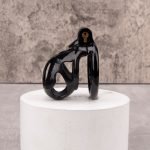 Black Cock Cage Premium Car Paint 3D Printed Lightweight Chastity Cage Flat Ring Penis Cage Set - Image 9