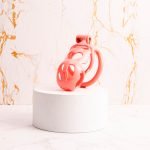 Pink Premium Car Paint 3D Printed Lightweight Chastity Cage Curved Ring Penis Cage Set - Image 8