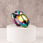 HTV3 Rainbow Stainless Steel Chastity Cage Metal Cock Cage - Image 9