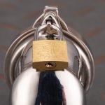 Stainless Steel Cock Cage Metal Chastity Cage With Anti Slip Ring - Image 8