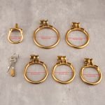 Open Stainless Steel Chastity Cage Training Ring - Image 12