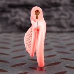 Pink Micro Cock Cage Honeycomb Pussy Small Chastity Cage Curved Ring - Image 3