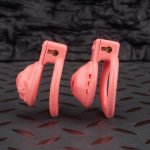 Pink Labia Pussy Sissy Chastity Cage Curved Ring - Image 3