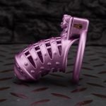 Mistress's Punishment Purple Spiked Chastity Cage Flat Ring - Image 7