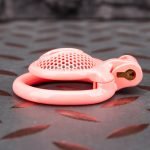 Pink Micro Cock Cage Honeycomb Pussy Small Chastity Cage Flat Ring - Image 6