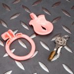 Pink Inverted Micro Cock Cage Pussy Small Chastity Cage Flat Ring - Image 8