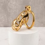 Mamba Gold Plated Stainless Steel Chastity Cage Metal Cock Cage - Image 8