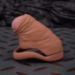 Skin Touch Simulation Penis Chastity Cage Skin Color Realistic Cock Cage - Image 8