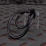 Male To Female Transformation TG TF Stainless Steel or Resin Sissy Chastity Training Clip - Image 8