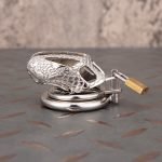 Dragon Scale Stainless Steel Chastity Cage Metal Cock Cage With Anti Slip Ring - Image 9
