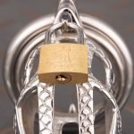 Dragon Scale Stainless Steel Chastity Cage Metal Cock Cage With Anti Slip Ring - Image 10