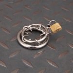 Stainless Steel Spiked Chastity Cage Metal Cock Cage