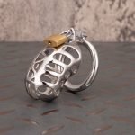 Hollow Stainless Steel Chastity Cage Metal Cock Cage Round Ring