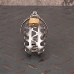 Hollow Stainless Steel Chastity Cage Metal Cock Cage Flat Ring - Image 3