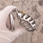 Hollow Stainless Steel Chastity Cage Metal Cock Cage Round Ring - Image 4