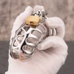 Hollow Stainless Steel Chastity Cage Metal Cock Cage With Anti Slip Ring - Image 5