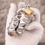 Hollow Stainless Steel Chastity Cage Metal Cock Cage Flat Ring - Image 5