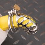 Hollow Stainless Steel Chastity Cage Metal Cock Cage With Anti Slip Ring - Image 6