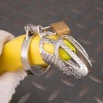 Dragon Scale Stainless Steel Chastity Cage Metal Cock Cage Flat Ring - Image 6