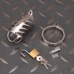 Stainless Steel Chastity Cage Metal Cock Cage Flat Ring - Image 7