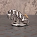 Hollow Stainless Steel Chastity Cage Metal Cock Cage With Anti Slip Ring - Image 8