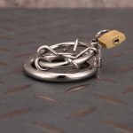 Stainless Steel Spiked Chastity Cage Metal Cock Cage - Image 8