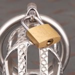 Dragon Scale Stainless Steel Chastity Cage Metal Cock Cage Round Ring - Image 8
