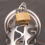 Hollow Stainless Steel Chastity Cage Metal Cock Cage With Anti Slip Ring - Image 9