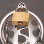 Hollow Stainless Steel Chastity Cage Metal Cock Cage Round Ring - Image 9