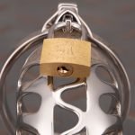 Hollow Stainless Steel Chastity Cage Metal Cock Cage Flat Ring - Image 9