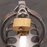 Stainless Steel Chastity Cage Metal Cock Cage Flat Ring - Image 9
