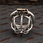 Small Stainless Steel Chastity Cage Metal Cock Cage Spikes Round Ring - Image 7