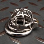 Small Stainless Steel Chastity Cage Metal Cock Cage Spikes Round Ring - Image 4