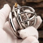 Small Stainless Steel Chastity Cage Metal Cock Cage Spikes Round Ring - Image 3