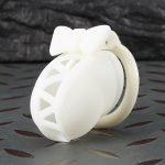 Resin 3D Printed Chastity Cage with Bowknot Design - 4 Sizes Resin Chastity Device Lightweight Male Chastity Lock with 2 Keys & 4 Replacement Rings