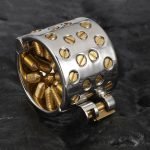 316 Stainless Steel CBT Ball Stretcher with Removable 24K Gold-Plated Spikes - Heavy Duty Chastity Cage Insert Lock for Advanced Play - Image 2