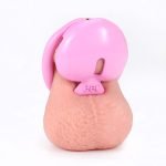 Pink Heart Chastity Cage with 4 Size Rings, Resin 3D Printed Male Chastity Device with Urinary Hole, Lightweight Comfortable Chastity Lock Set for Men - Image 10