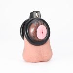 3D Printed Resin Chastity Cage with Silicone Urethral Plug, 6 Size Rings, Lock & Keys - Lightweight Small Chastity Device for Men - Image 10